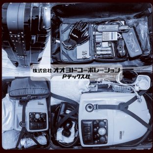 トコジラミ（南京虫）駆除｜効果的な対策と殺虫剤による自己対策の記録