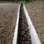 ムカデの潜むU字溝