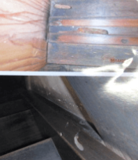 ハラジロカツオブシムシの幼虫穿孔痕