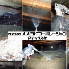 シロアリ予防・駆除