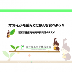 カブトムシを囲んでごはんを食べよう !!　清潔で健康的な川砂飼育法のススメ