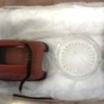 アオズムカデの飼育