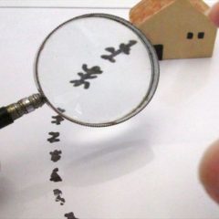 【画像なし】ムカデの侵入防止対策と効果的な応急処置、駆除方法をご紹介