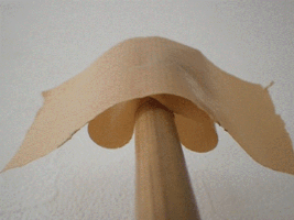 テープでカメムシの背中を覆う