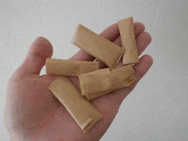 テープでカメムシの背中を覆う