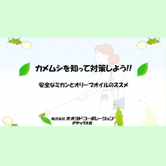 カメムシ対策｜生態に基づく侵入防止対策と効果的な殺虫剤，悪臭除去方法