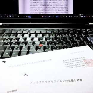 ヒラタキクイムシの虫害発生に伴う保証や責任