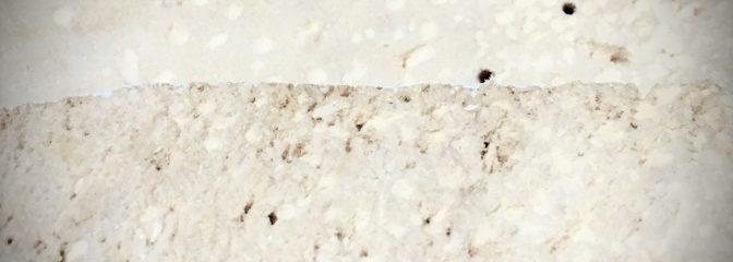 混入異物検査＆昆虫同定検査