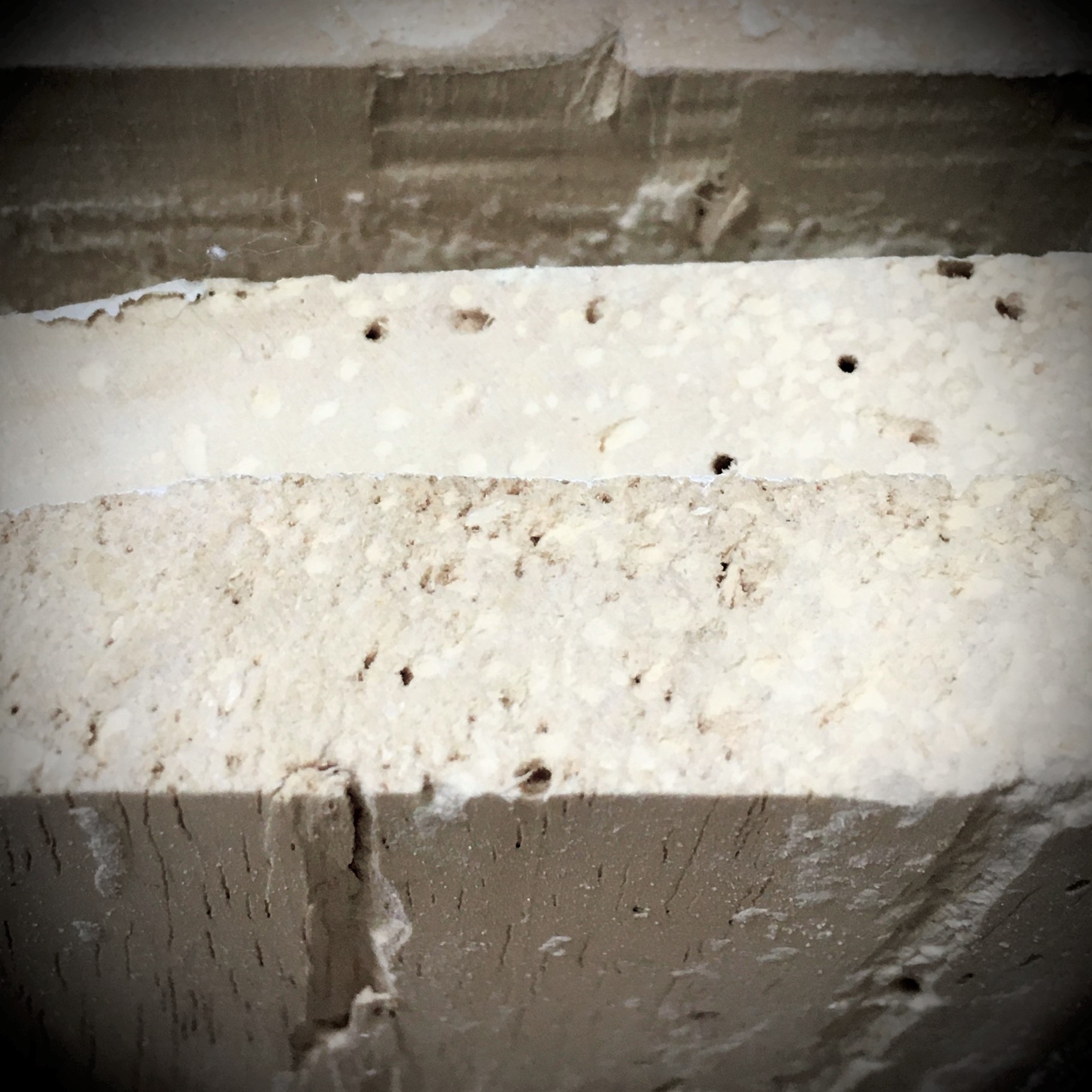 混入異物検査＆昆虫同定検査