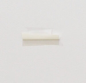 壁クロスの展開